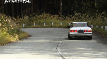 やってきました、ハチヒルの日